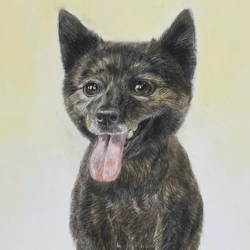 色鉛筆・鉛筆・コンテ画